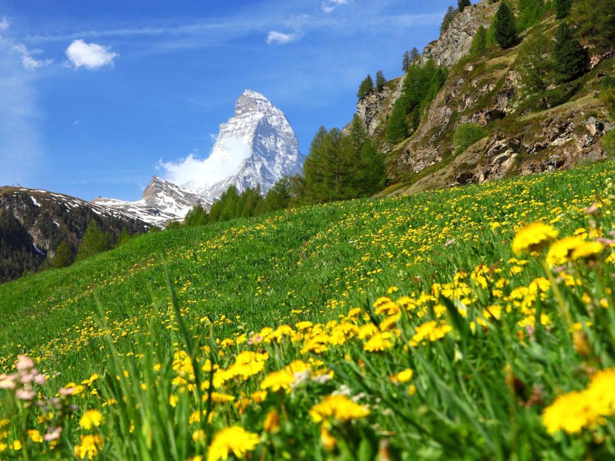 Studio Silence-4 Zermatt Exterior foto